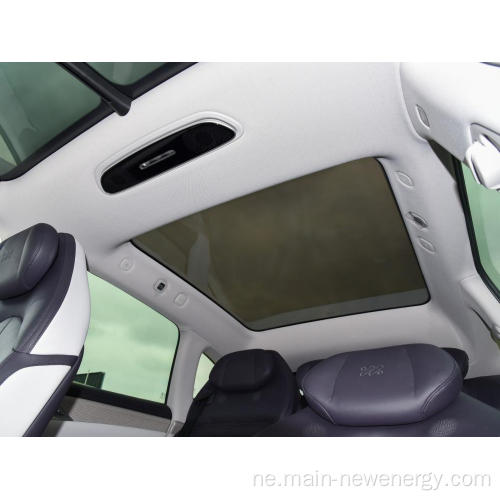 स्मार्ट इलेक्ट्रिक वाहन SUV उच्च प्रदर्शन लक्जरी जीड AWD RWD लामो दायरा 6001 किक